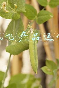科大讯飞产品总监鲍潜巢(初心不改 奔赴山海：科大讯飞2021年度盘点)