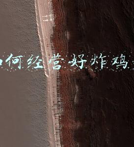 怎样经营一家炸鸡店(如何经营好一家炸鸡店)