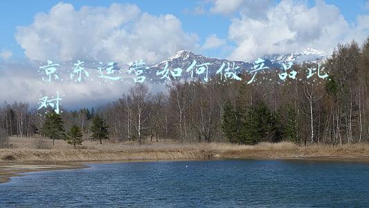 京东运营如何做产品比对