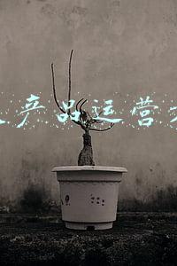 医美产品代理(华东医药“医美”赛道陡生变局：玻尿酸代理子公司的20名股东闹上法庭喊着要散伙)