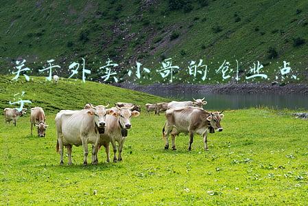 关于外卖小哥的标题(外卖小哥高考623分上热搜：你努力实现梦想的样子，太帅了)