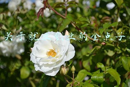 关于就业创业的文章(从工作习惯到客户交流，18条关于创业的具体建议 | 红杉汇内参)