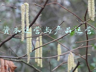 资本运营与产品运营的关系(正确认识和把握资本的特性和行为规律)