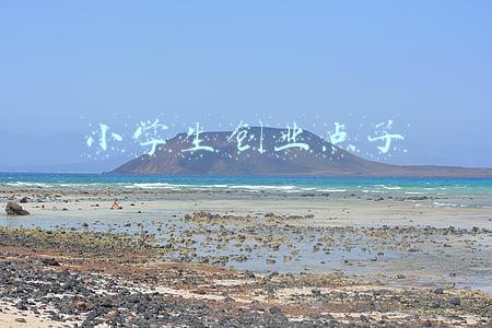 小学生创业点子大全(太可爱了！5岁男孩在小区里创业，一次0.5元！生意红红火火)