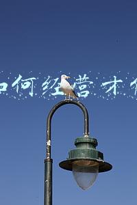 淘宝登录才能搜索(淘宝要登录才能搜索)