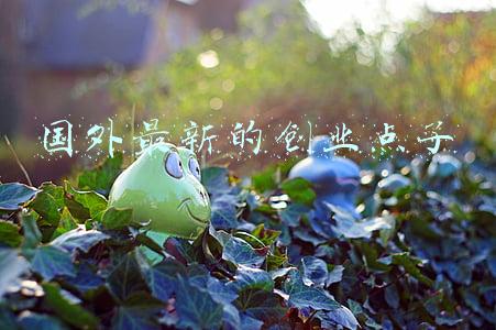 国外非常好的创业项目(国外的实用生活小发明)
