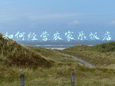 怎么经营开农家乐(如何开农家乐)