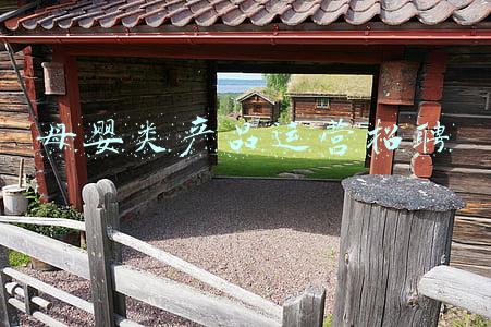 母婴保健法及实施条例(国家卫生健康委办公厅关于进一步加强母婴保健专项技术服务管理的通知)