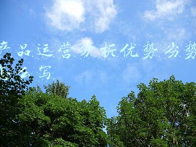 产品优势和劣势分析(应用“零信任”相关技术产品性能优劣势几何？联软科技科创板IPO这样解释)