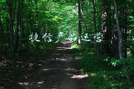 捷信科技有限公司(“失速”的捷信：高层变动，业绩大幅下滑，被列信用评级观察名单)