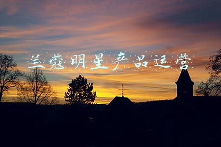 兰蔻明星产品运营