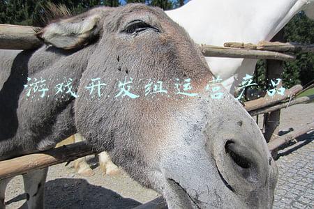 游戏开发团队(优秀的游戏开发团队如何工作？40条管理建议)