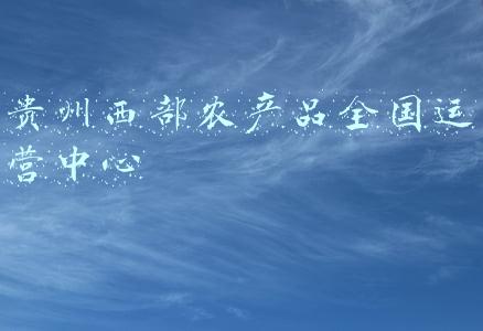 贵州农产品交易平台(“一码贷”供应链金融服务迎升级“金融超市”助力企业解决融资难题)