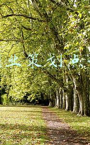 创业策划点子