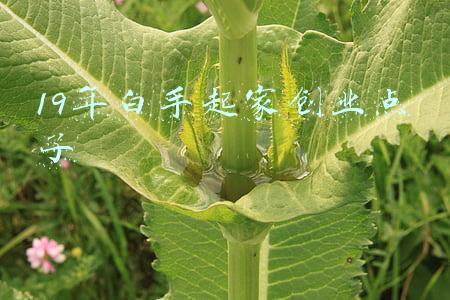 19年白手起家创业点子