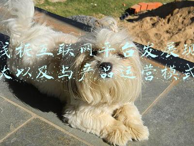 浅析互联网平台发展现状以及与产品运营模式