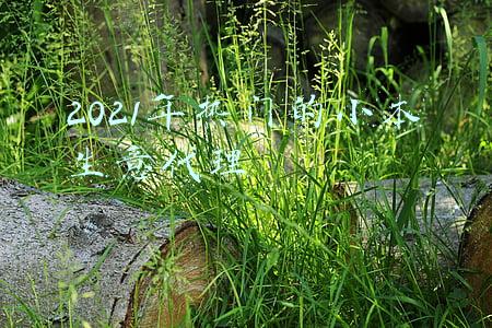 2021小本创业(小本经营项目有哪些？2021年适合小本经营的产业)