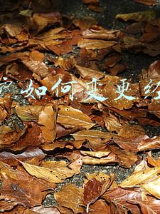 个体户怎么变更经营范围：个体户如何变更经营范围