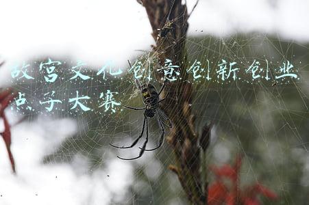 故宫文创产品设计(故宫再出新品：博物馆文创用哪些文物元素可能会成功？)