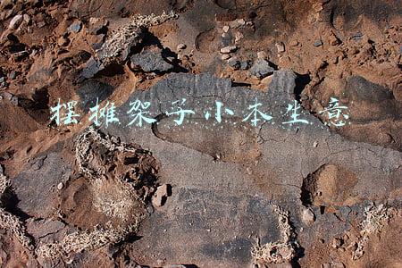 适合小学门口摆摊的小本生意(3名小学生周末闹市“练摊”这样的实践真不赖)