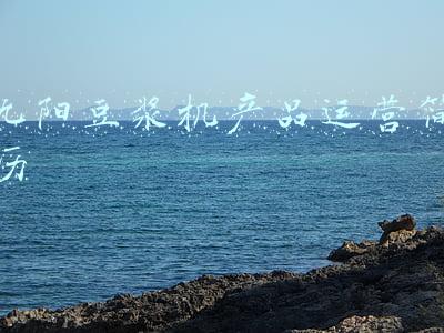 九阳豆浆机常见故障(豆浆机电路原理分析与故障检测)