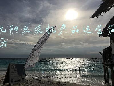 九阳豆浆机使用说明书(九阳豆浆机醇香豆浆这样制作最好喝)