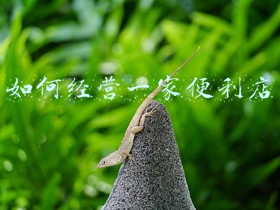 如何开一个便利店 自己开一家便利店