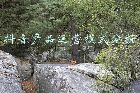 农产品供应链运营模式(「书讯」农产品供应链运作与决策：基于PYO模式的研究)
