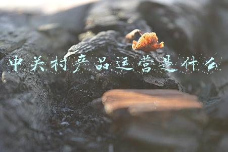 中关村产品报价(「必买」这四款骁龙870必须买，1799元起售)