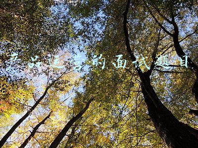 产品运营的面试题目