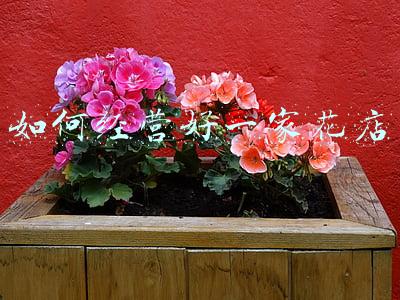 鲜花店怎么开：花店怎么开才有生意