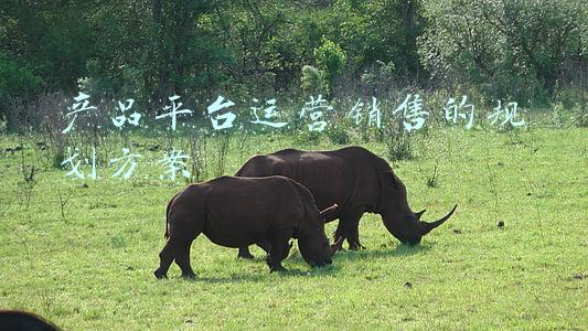 832农副产品销售平台(政府采购脱贫地区农副产品工作将继续实施积极推荐832个脱贫县农副产品供应商入驻“832平台”)