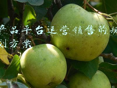 农特产品电商平台方案(未来农产品电商平台的四种发展模式)