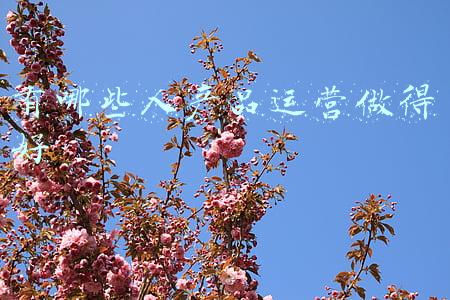 产品运营模式有哪些(靠一条瑜伽裤做到全球服装第三，DTC模式有什么魔力？)