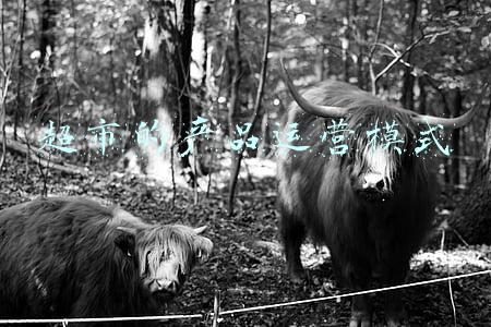 超市产品进场合同(郭俊然律师：商品交易市场进场经营合同)