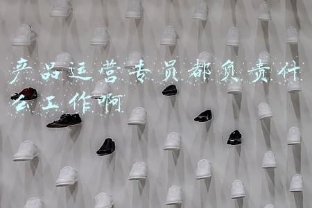 产品运营专员都负责什么工作啊