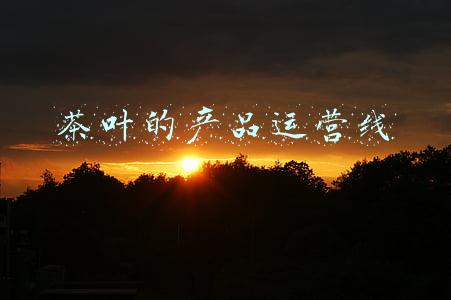 茶叶的产品运营线