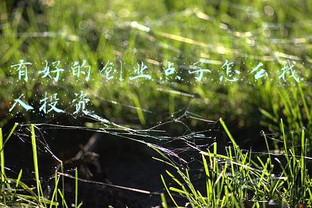 如何创业,如何找投资人(有较好的创业项目，怎么找到投资人？)