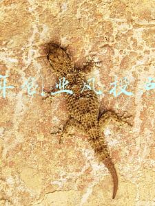 今年创业风投点子