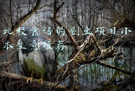 比较靠谱的创业项目小本生意推荐
