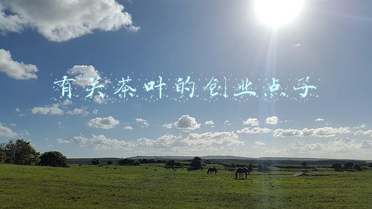 茶叶创业项目的理由(喝茶的理由（一）)