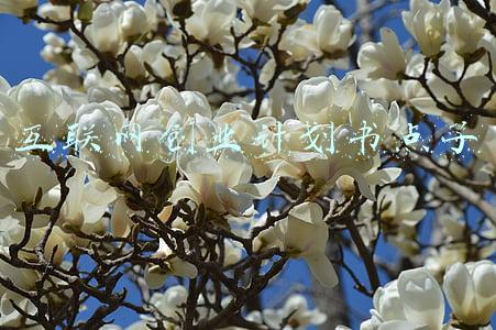 创新创业计划书点子(创业宝典请收好，从0到1轻松落地创业计划)