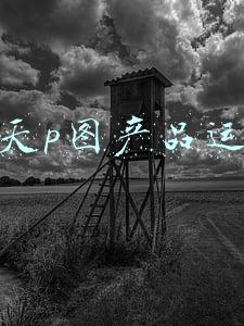 天天p图产品运营