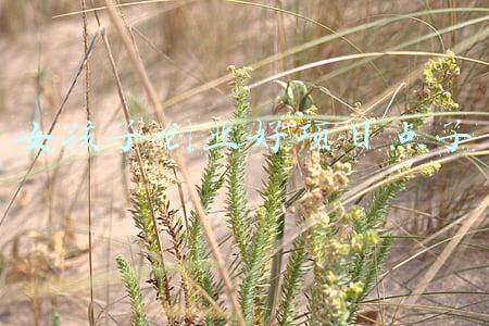 适合女生的创业小项目(女生创业开什么店比较好？)