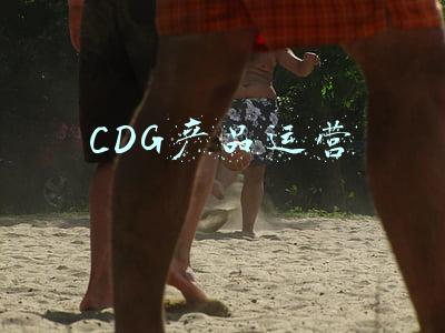 cd是什么销售平台(为营销而生的客户数据平台)