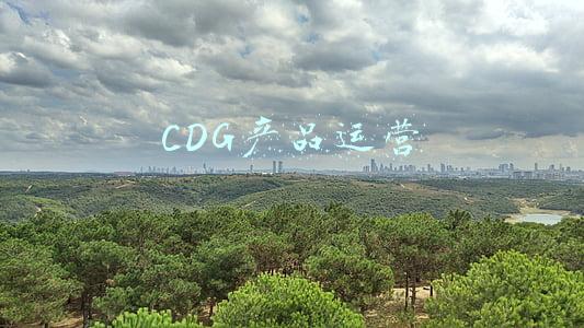 cdg公司(涉“宠物盲盒”中通快递及商家被调查，网购平台仍包邮售活体猫狗)