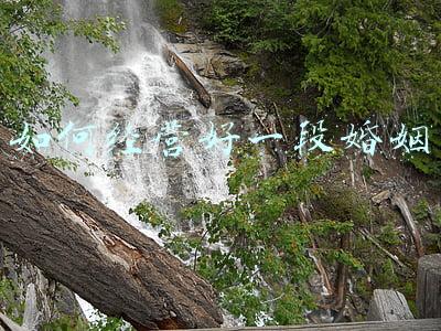 如何经营好一家民宿?(如何经营好一家民宿)