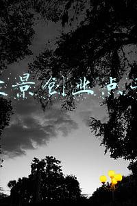 经营盆景如何才能赚钱(巧手造盆景 致富好前景——江苏如皋发展花木园艺产业促增收)