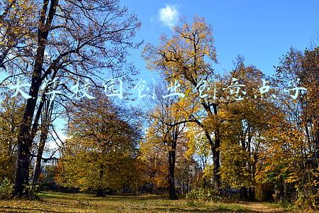 大学校园创业创意点子