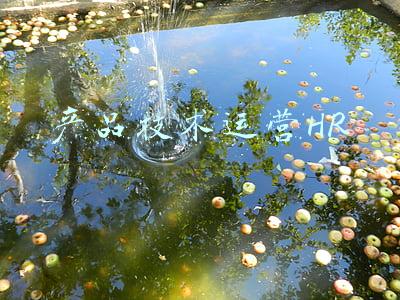 产品技术运营HRBP(字节跳动全球化HRBP做什么？)